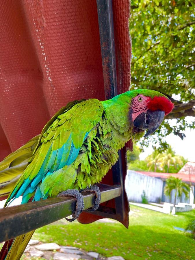 Hotel Posada El Encanto Xochitepec Kültér fotó